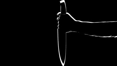 'Now Become a Hero': Class 11 Student Stabbed More Than 20 Times by Schoolmates in Broad Daylight in Faridabad, Dies; Case Registered